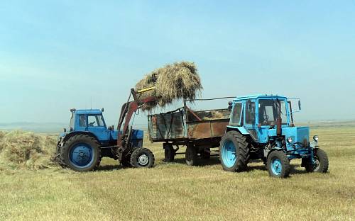 Трактора Беларус в работе